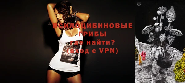 гашик Верхний Тагил