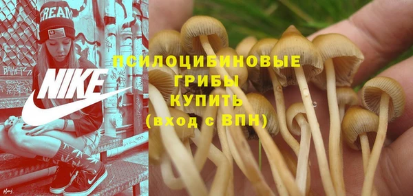 скорость Верея